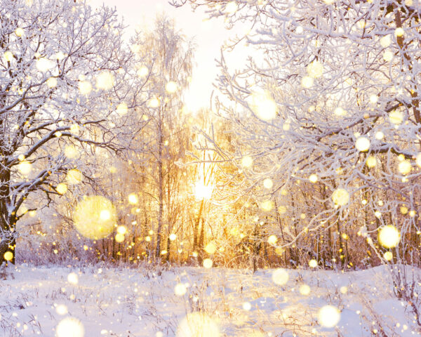 Finding Light in the Darkness